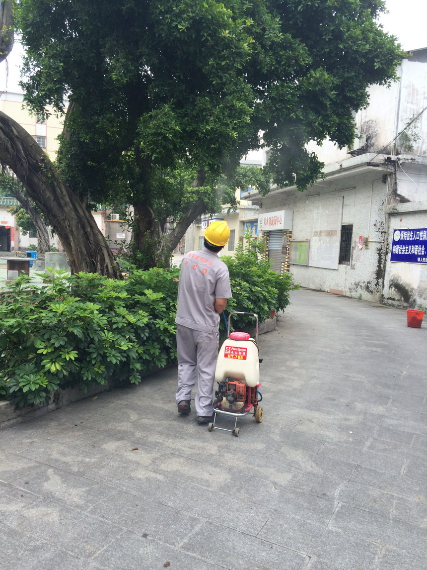 雙水創(chuàng)國家衛(wèi)生鎮(zhèn)除四害消毒施工